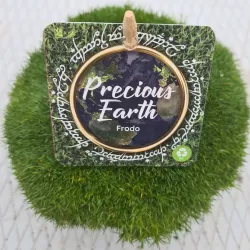 Siūlinė žemenė - Sagina subulata SUPREME