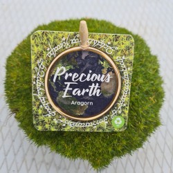 Siūlinė žemenė - Sagina subulata SUPREME