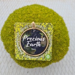 Siūlinė žemenė - Sagina subulata SUPREME