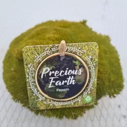 Sclerantus biflorus PEPPIN