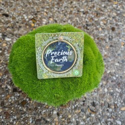 Sclerantus biflorus PEPPIN