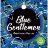 Pavasarinis gencijonas - Gentiana verna angulosa BLUE GENTLEMEN