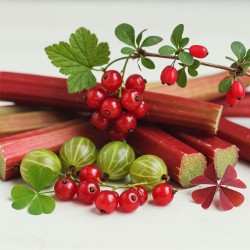 Sour plant collection