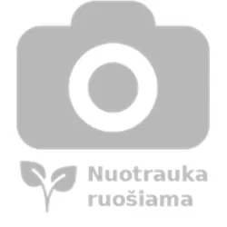 Rubus o. Black Jewel Cane 120 cm, C4.0L 18 cm 120 cm