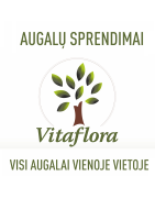 E-medelynas Vitaflora - augalai internetu nuo 2013 metų
